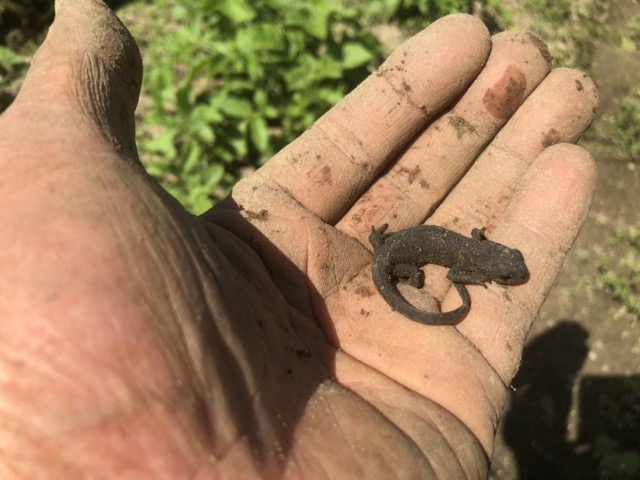 f:id:hirowind:20190409232007j:plain