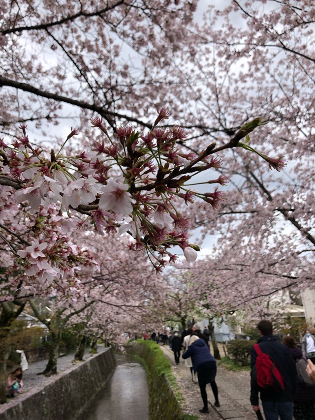 f:id:hirowind:20190411140018j:plain f:id:hirowind:20190411140018j:plain