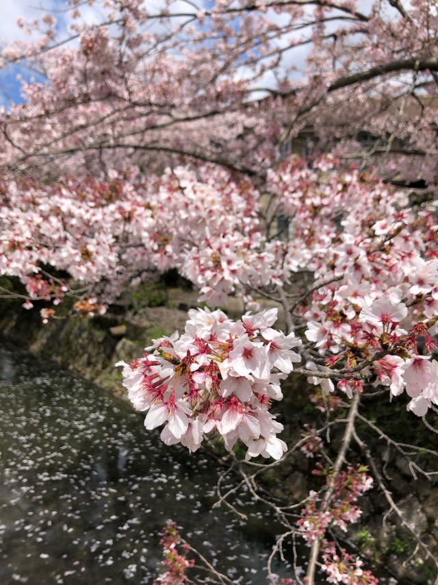f:id:hirowind:20190411140614j:plain f:id:hirowind:20190411140614j:plain