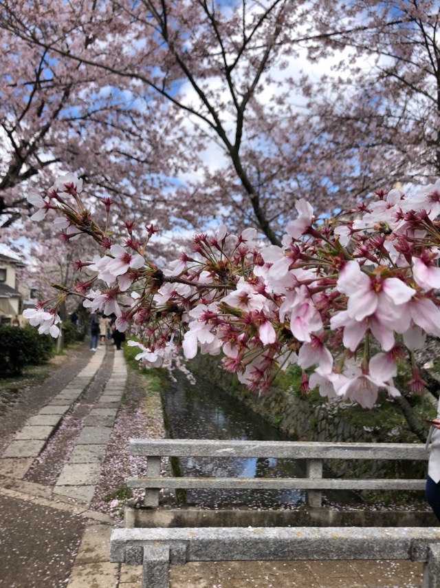 f:id:hirowind:20190411140626j:plain f:id:hirowind:20190411140626j:plain