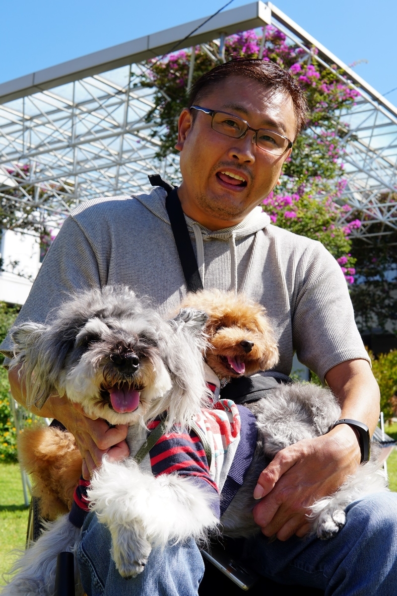 f:id:hiroxt:20191011144509j:plain