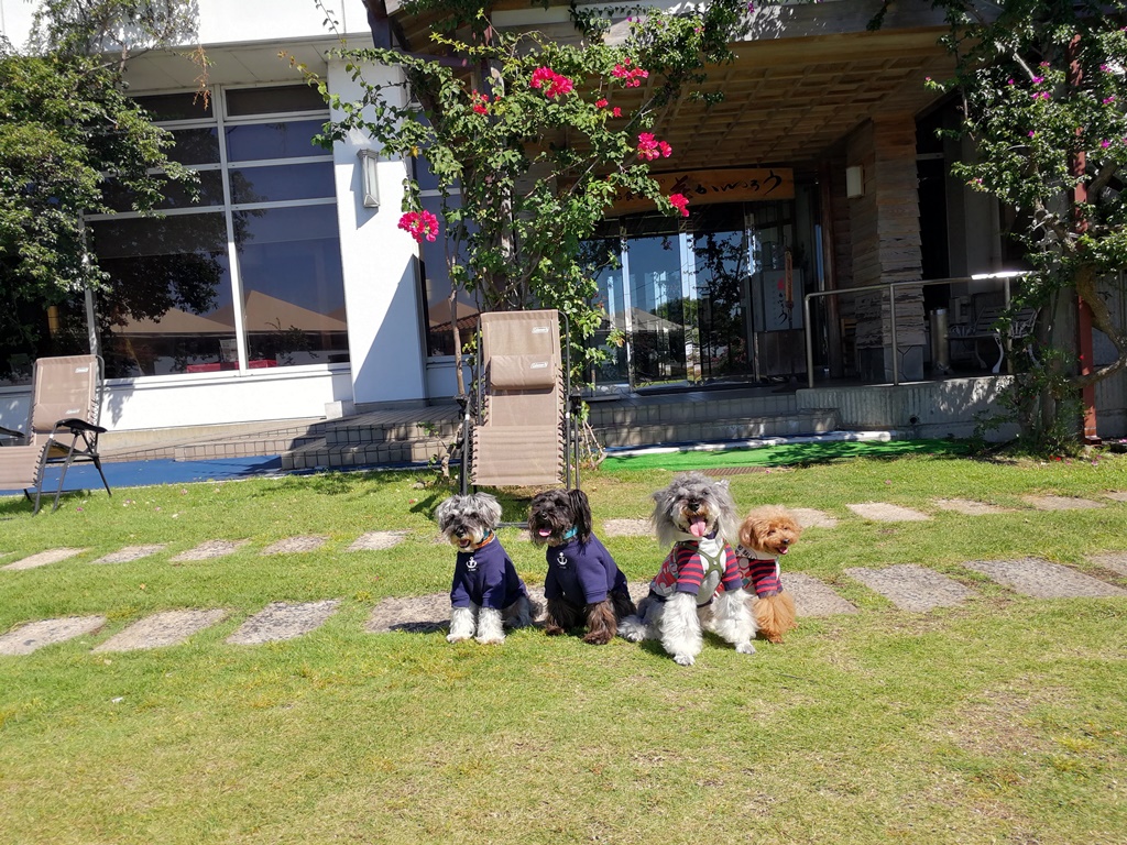 f:id:hiroxt:20191011144622j:plain