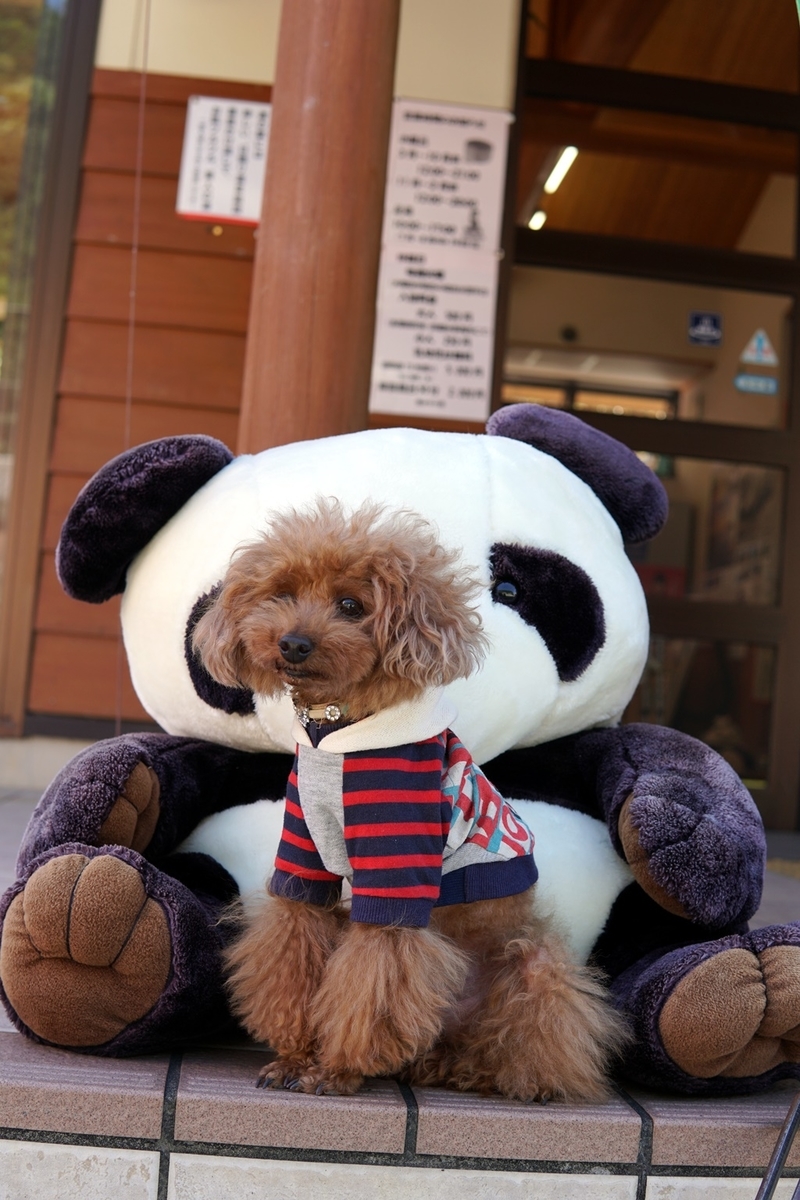 f:id:hiroxt:20191011145653j:plain