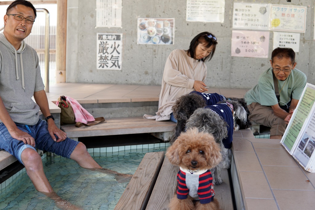 f:id:hiroxt:20191011145751j:plain