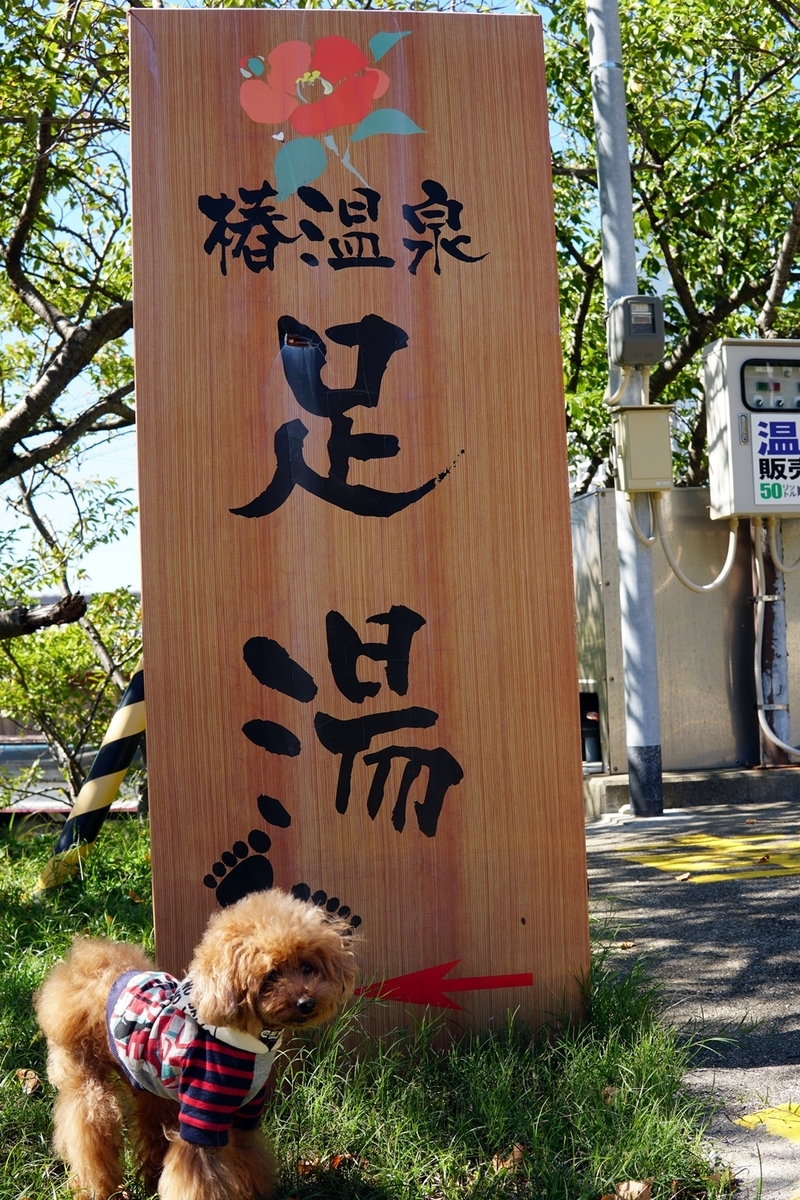 f:id:hiroxt:20191011145848j:plain