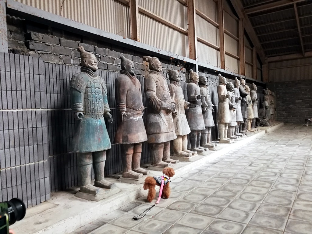 f:id:hiroxt:20191024130112j:plain f:id:hiroxt:20191024130112j:plain