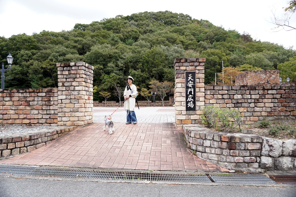 f:id:hiroxt:20191024131628j:plain f:id:hiroxt:20191024131628j:plain