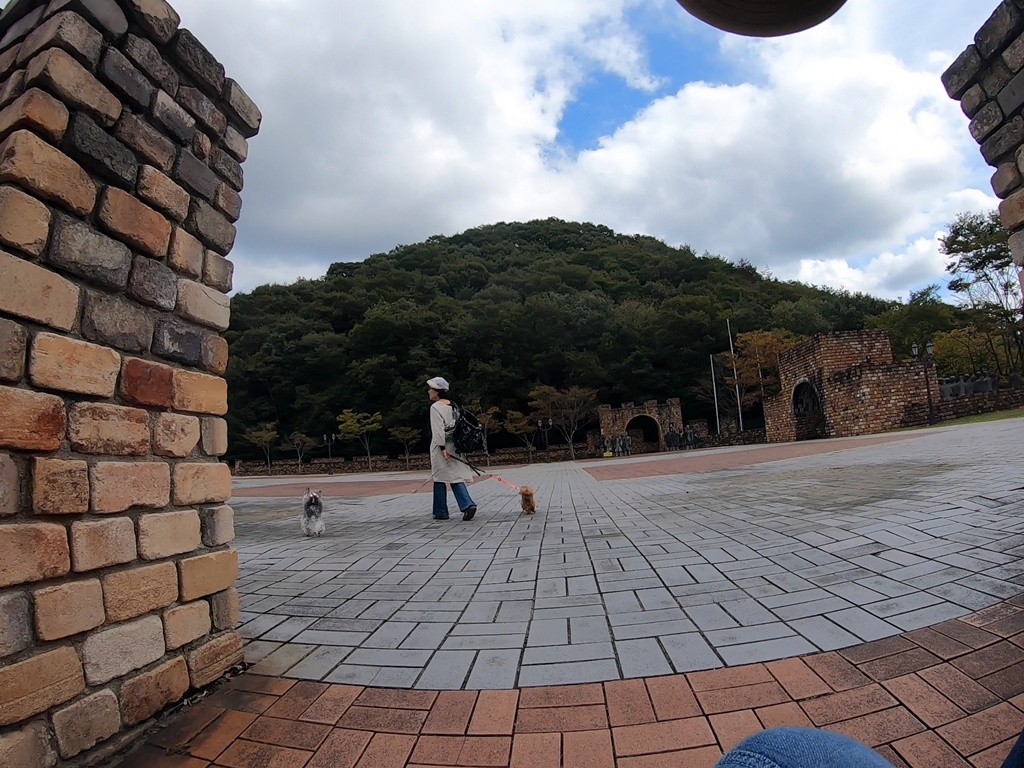 f:id:hiroxt:20191024131805j:plain f:id:hiroxt:20191024131805j:plain