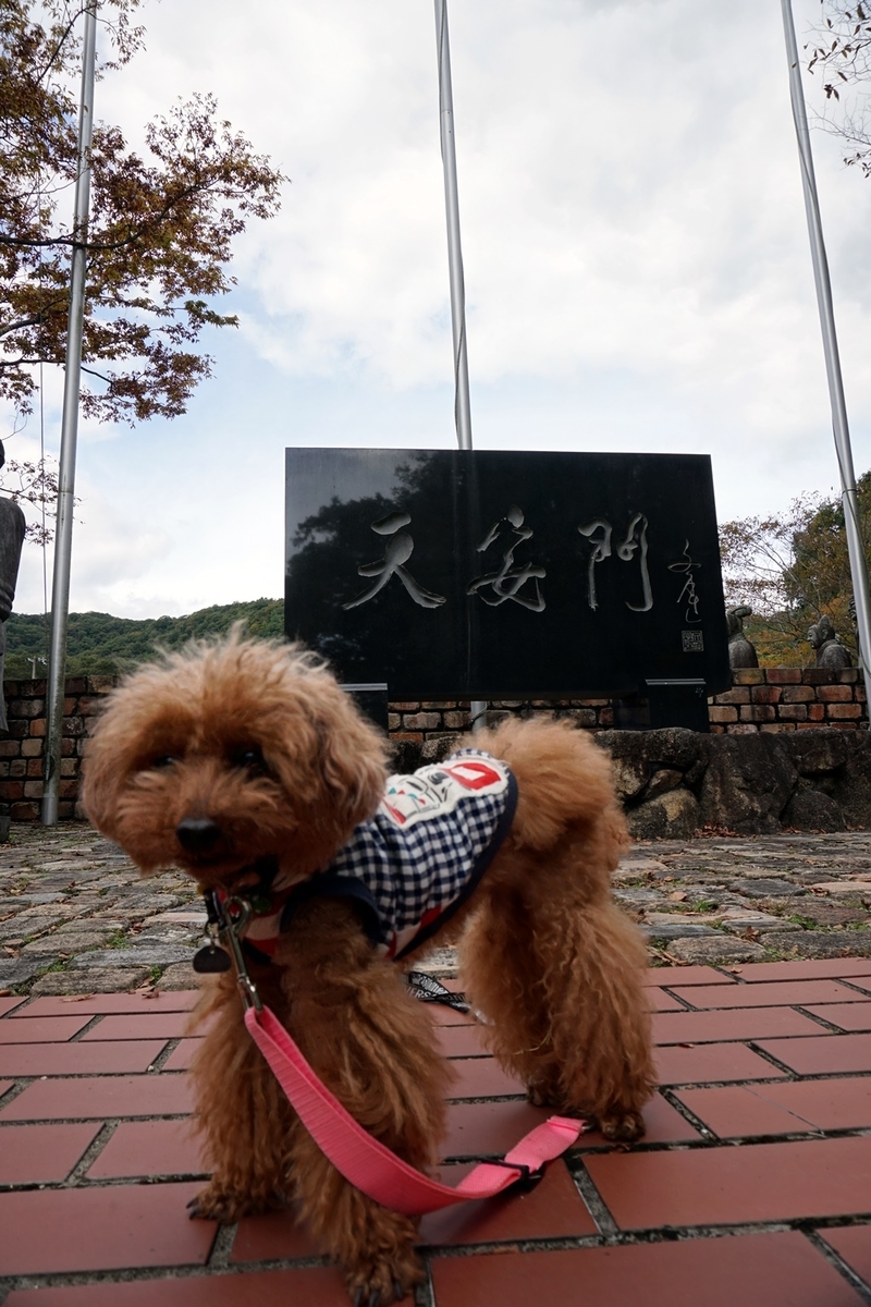 f:id:hiroxt:20191024132035j:plain f:id:hiroxt:20191024132035j:plain