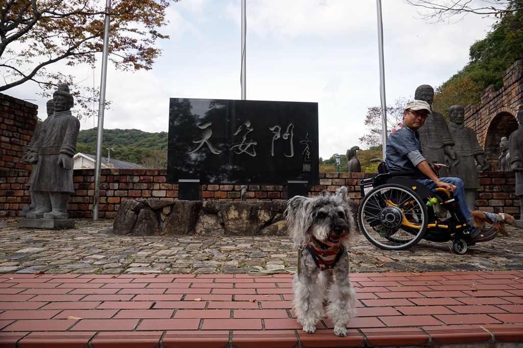 f:id:hiroxt:20191024132047j:plain f:id:hiroxt:20191024132047j:plain