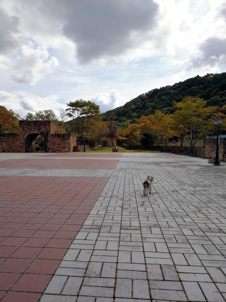 f:id:hiroxt:20191024132330j:plain f:id:hiroxt:20191024132330j:plain