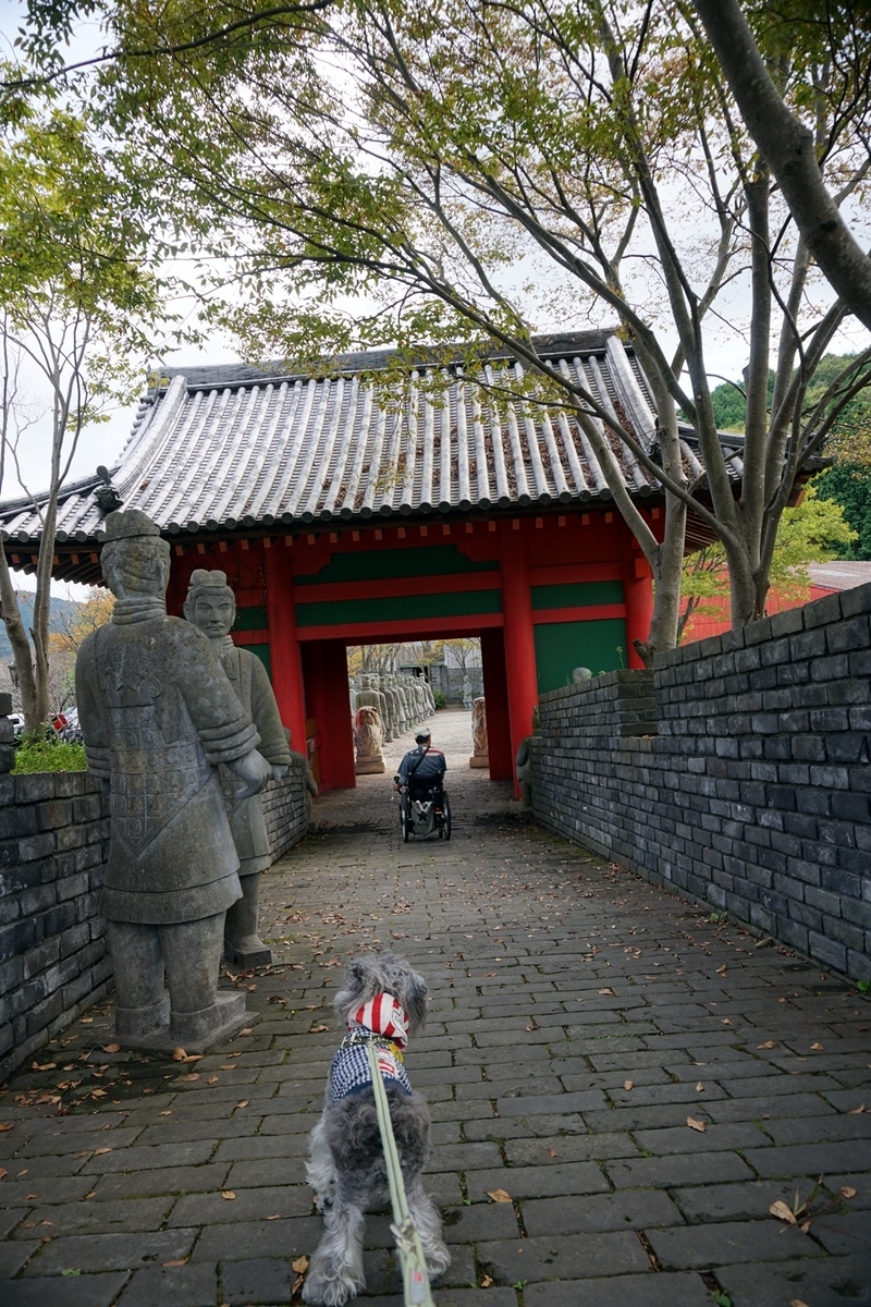 f:id:hiroxt:20191024132637j:plain f:id:hiroxt:20191024132637j:plain