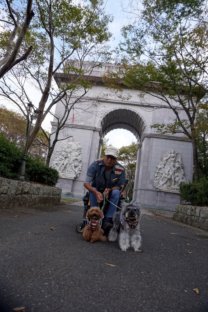 f:id:hiroxt:20191024132842j:plain f:id:hiroxt:20191024132842j:plain