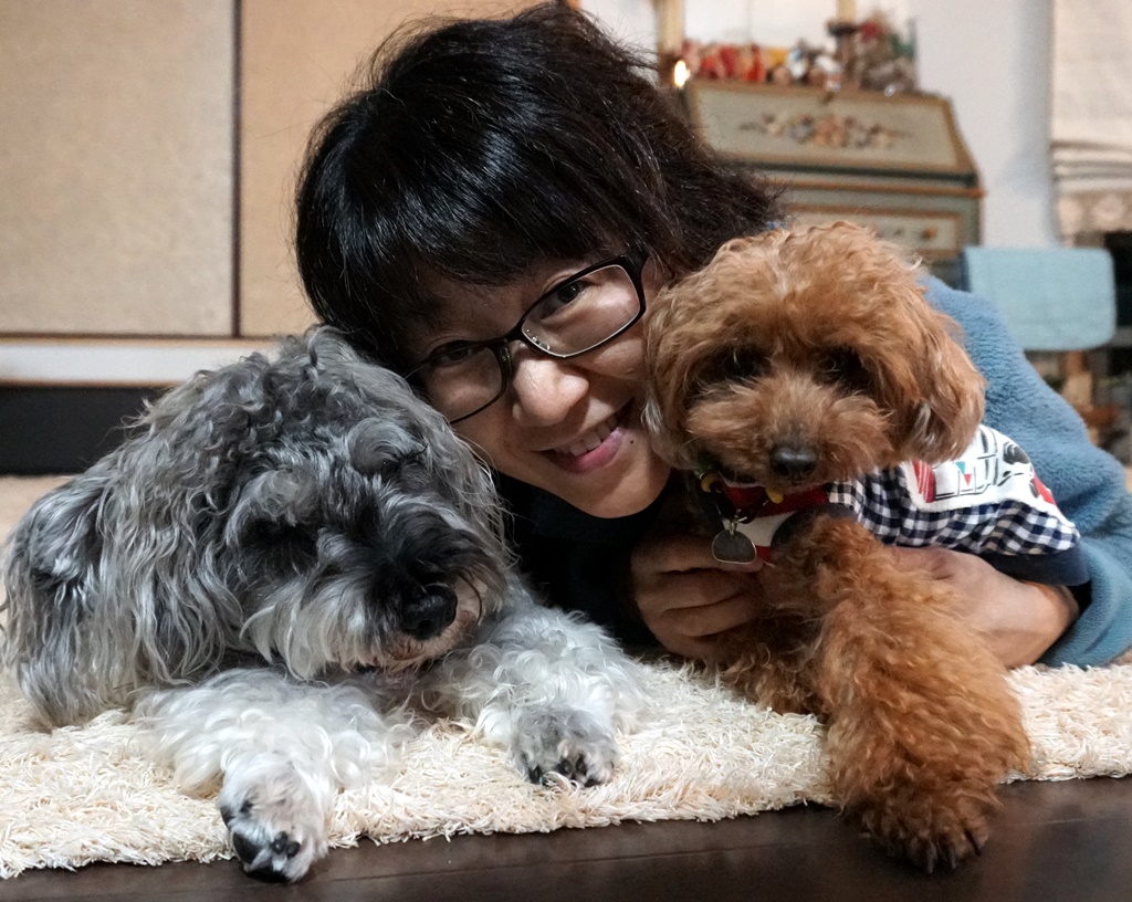 f:id:hiroxt:20191026112721j:plain