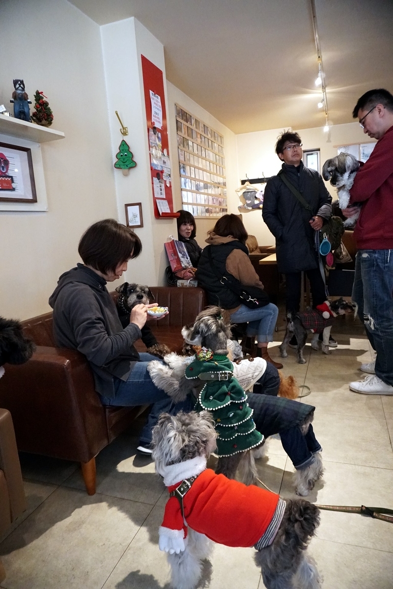 f:id:hiroxt:20191209092347j:plain