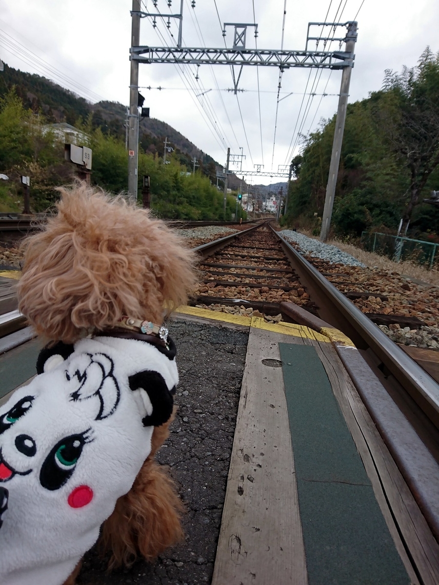 f:id:hiroxt:20200105135145j:plain