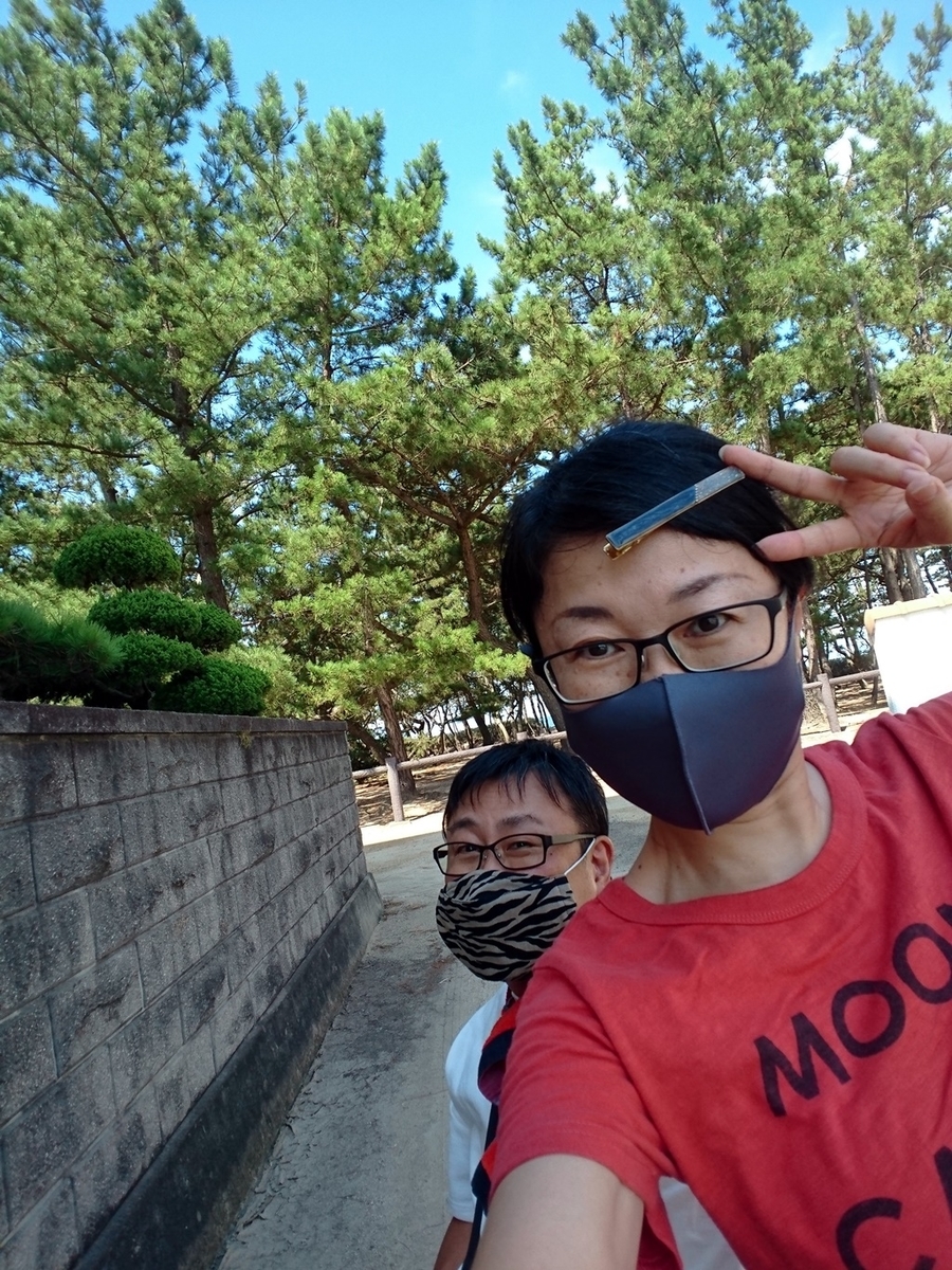 f:id:hiroxt:20200903174957j:plain