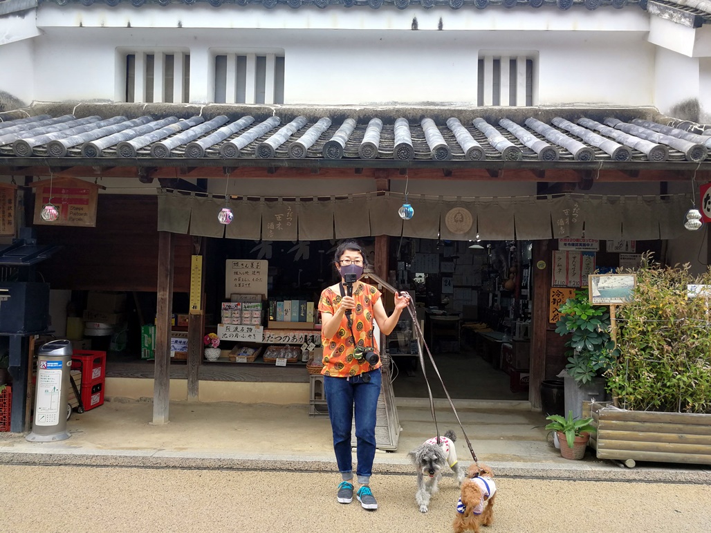 f:id:hiroxt:20201003110331j:plain