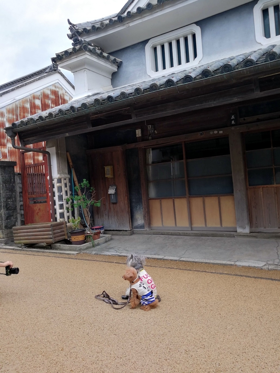 f:id:hiroxt:20201003110516j:plain