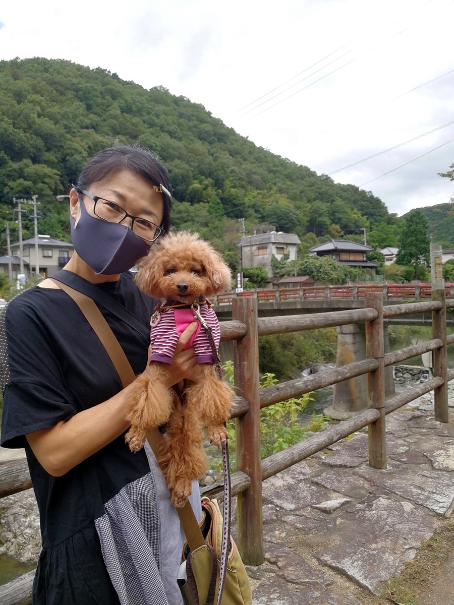 f:id:hiroxt:20201007174658j:plain f:id:hiroxt:20201007174658j:plain
