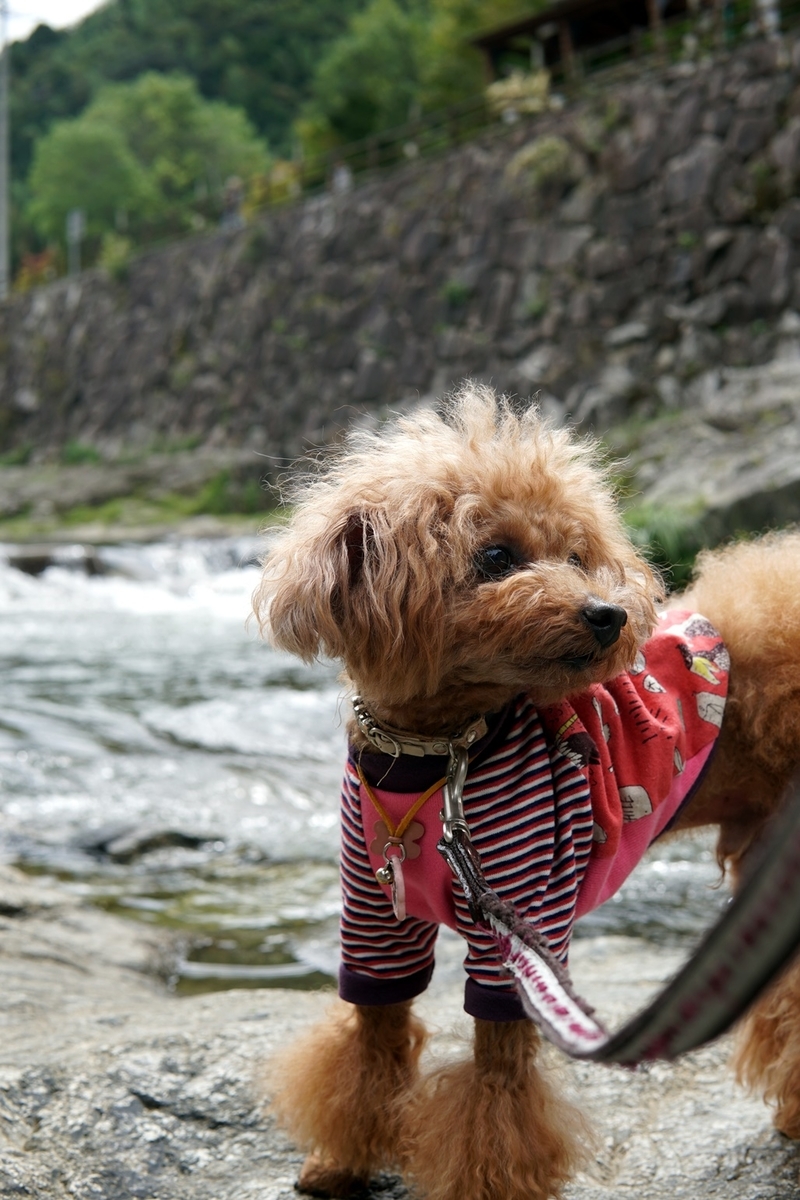 f:id:hiroxt:20201007174810j:plain f:id:hiroxt:20201007174810j:plain