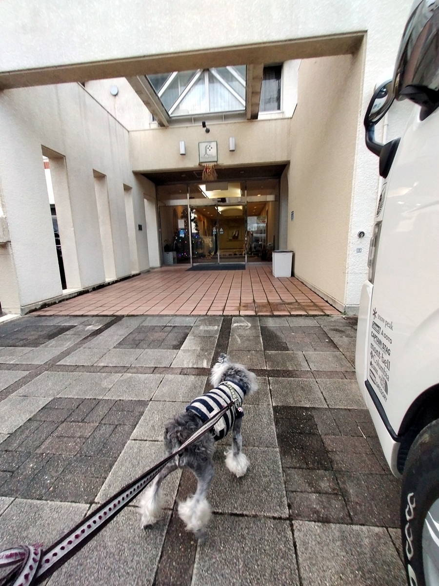 f:id:hiroxt:20201114204339j:plain