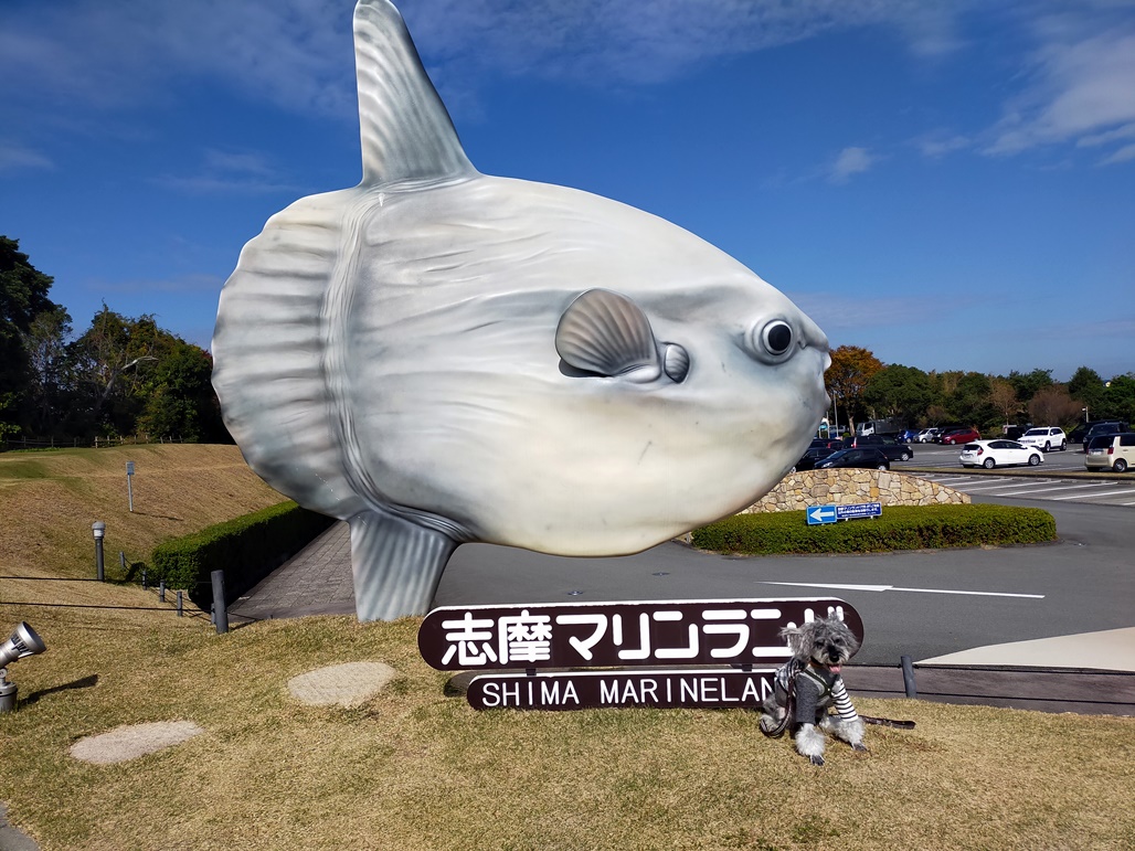f:id:hiroxt:20201115132551j:plain