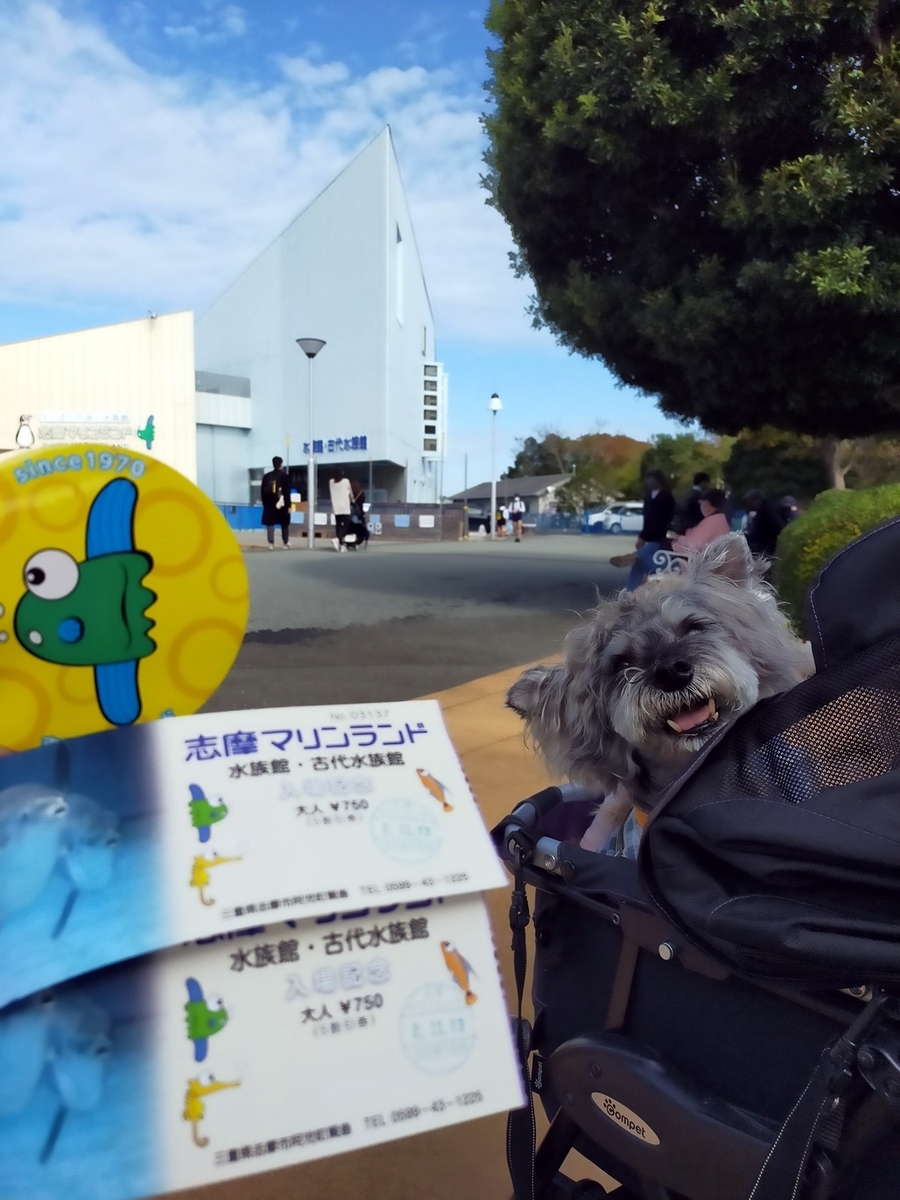 f:id:hiroxt:20201115132658j:plain