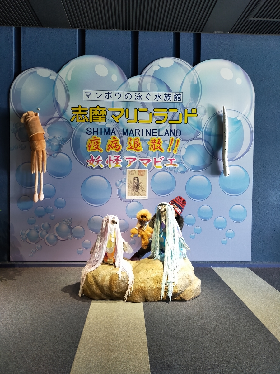 f:id:hiroxt:20201115142324j:plain