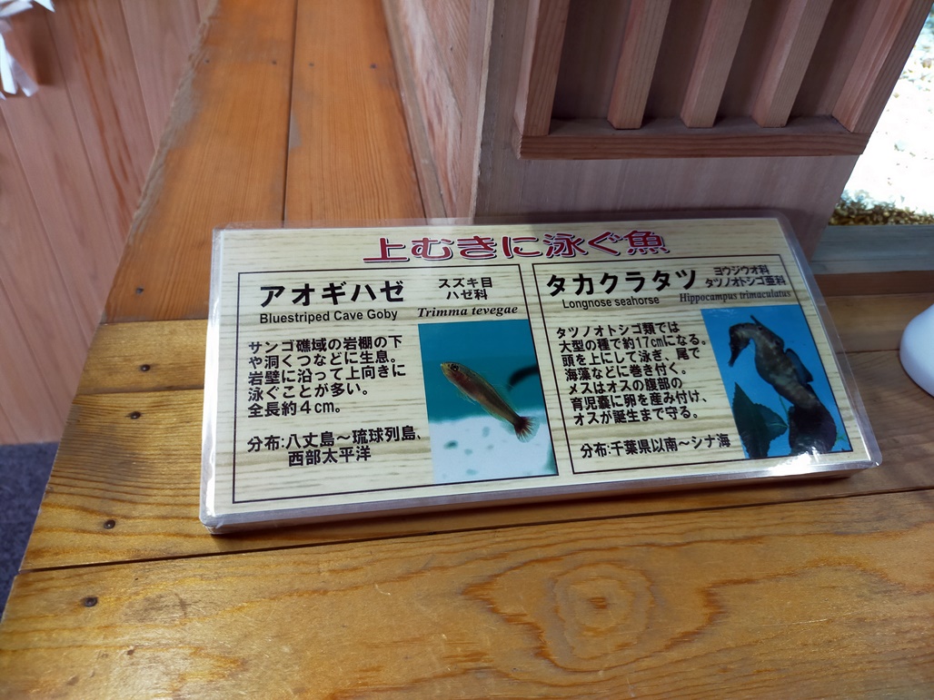 f:id:hiroxt:20201115142500j:plain f:id:hiroxt:20201115142500j:plain