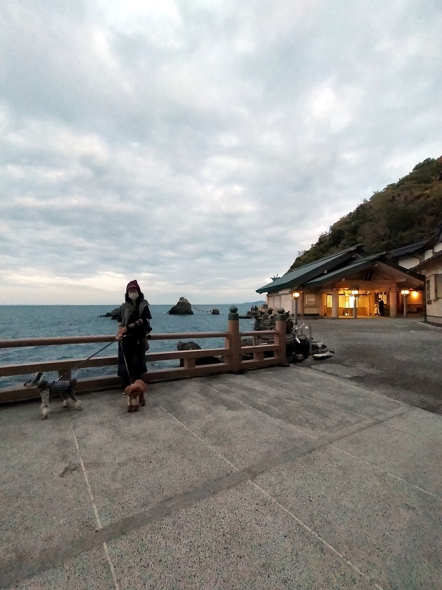 f:id:hiroxt:20201116094737j:plain