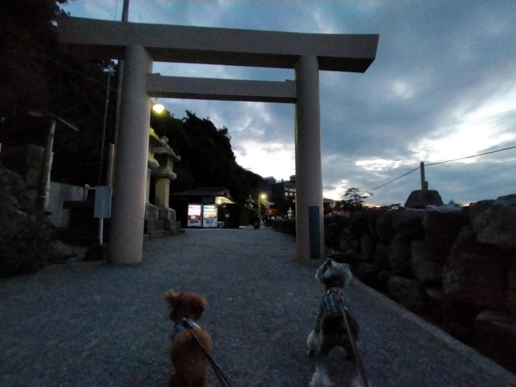 f:id:hiroxt:20201116094810j:plain