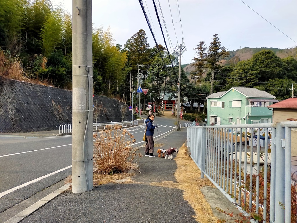 f:id:hiroxt:20210104091416j:plain