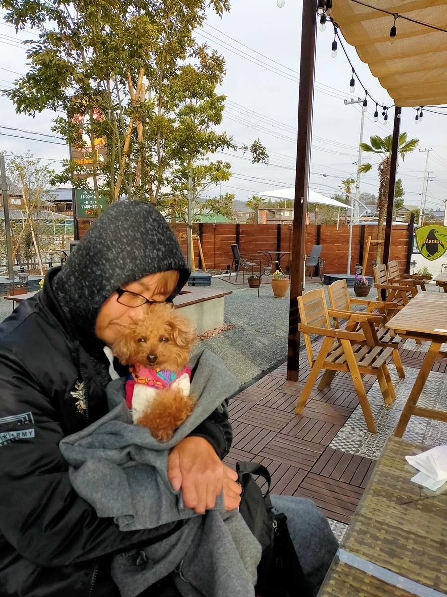 f:id:hiroxt:20210112172124j:plain