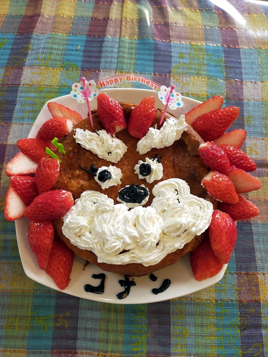 f:id:hiroxt:20210128202027j:plain