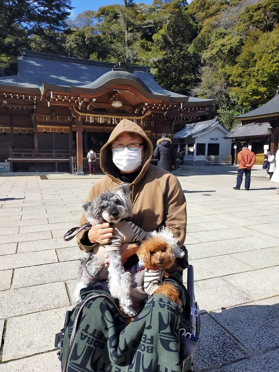 f:id:hiroxt:20210216205837j:plain