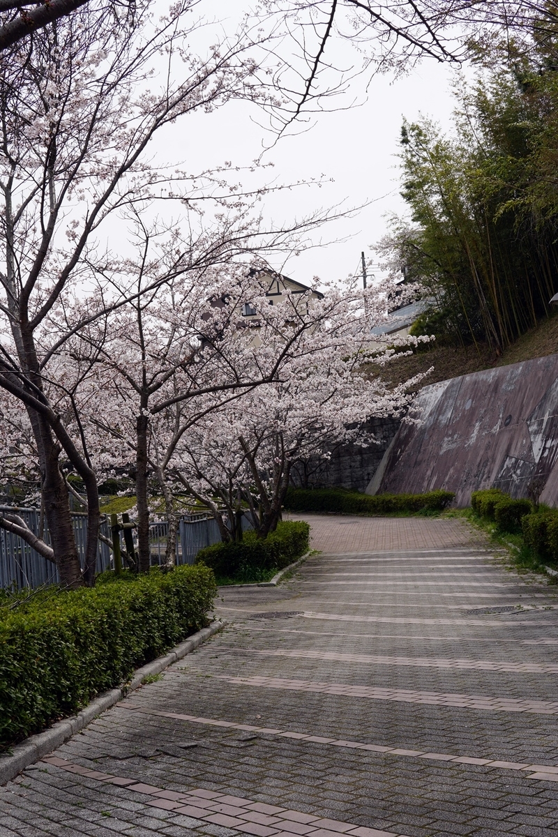 f:id:hiroxt:20210405230101j:plain