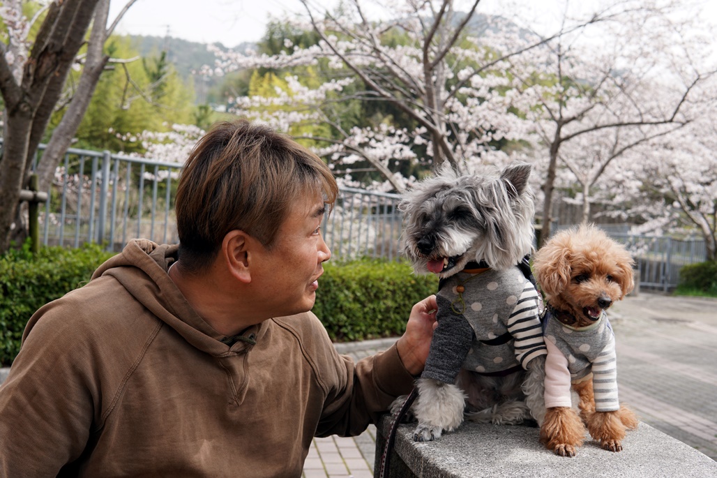 f:id:hiroxt:20210405230226j:plain