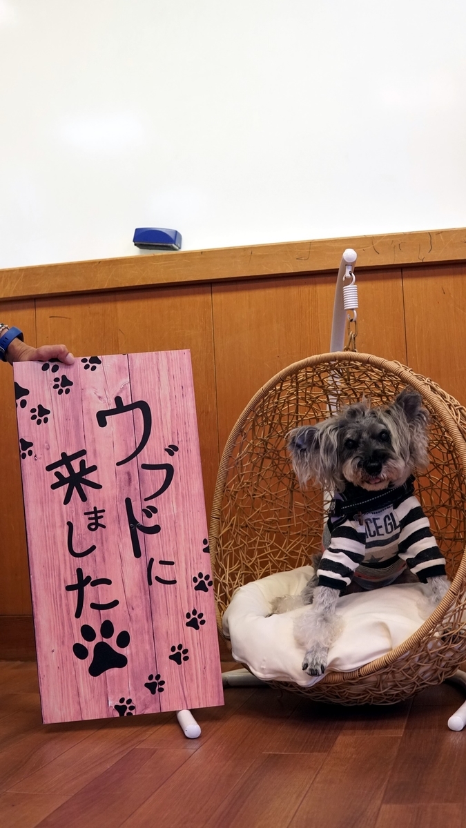 f:id:hiroxt:20211112114602j:plain
