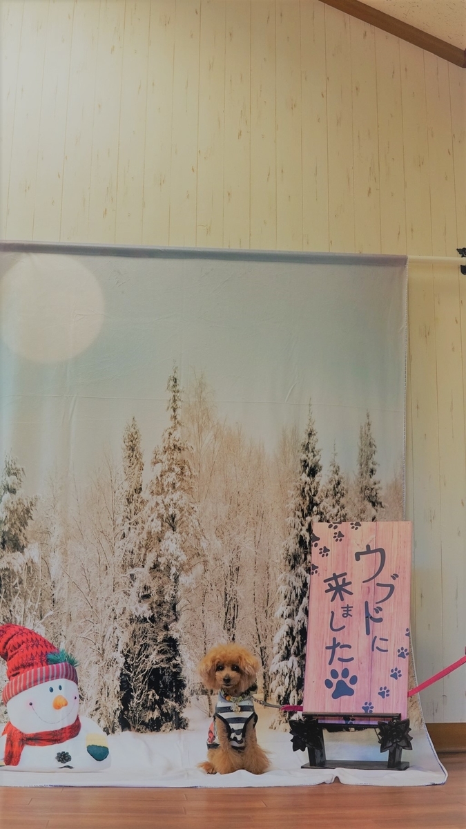 f:id:hiroxt:20211112115030j:plain