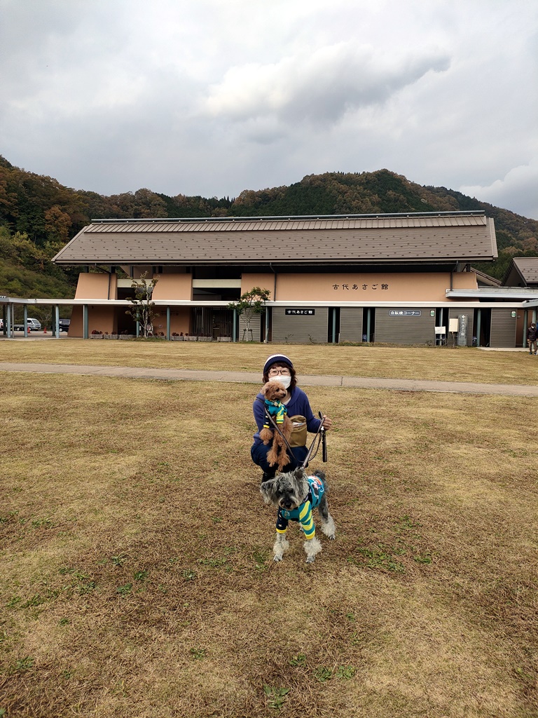 f:id:hiroxt:20211121203326j:plain