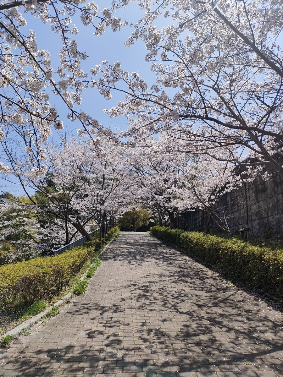 f:id:hiroxt:20220409190719j:plain