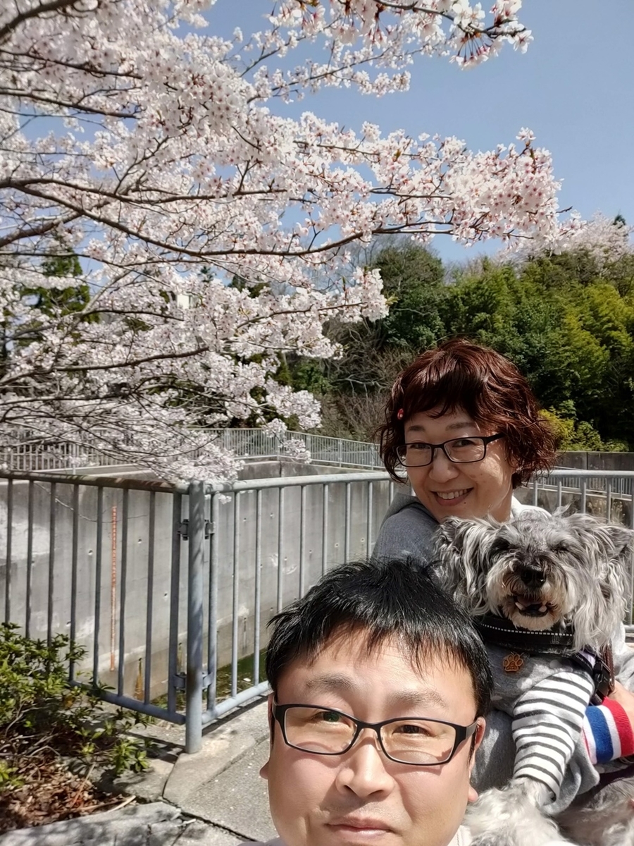 f:id:hiroxt:20220409190800j:plain