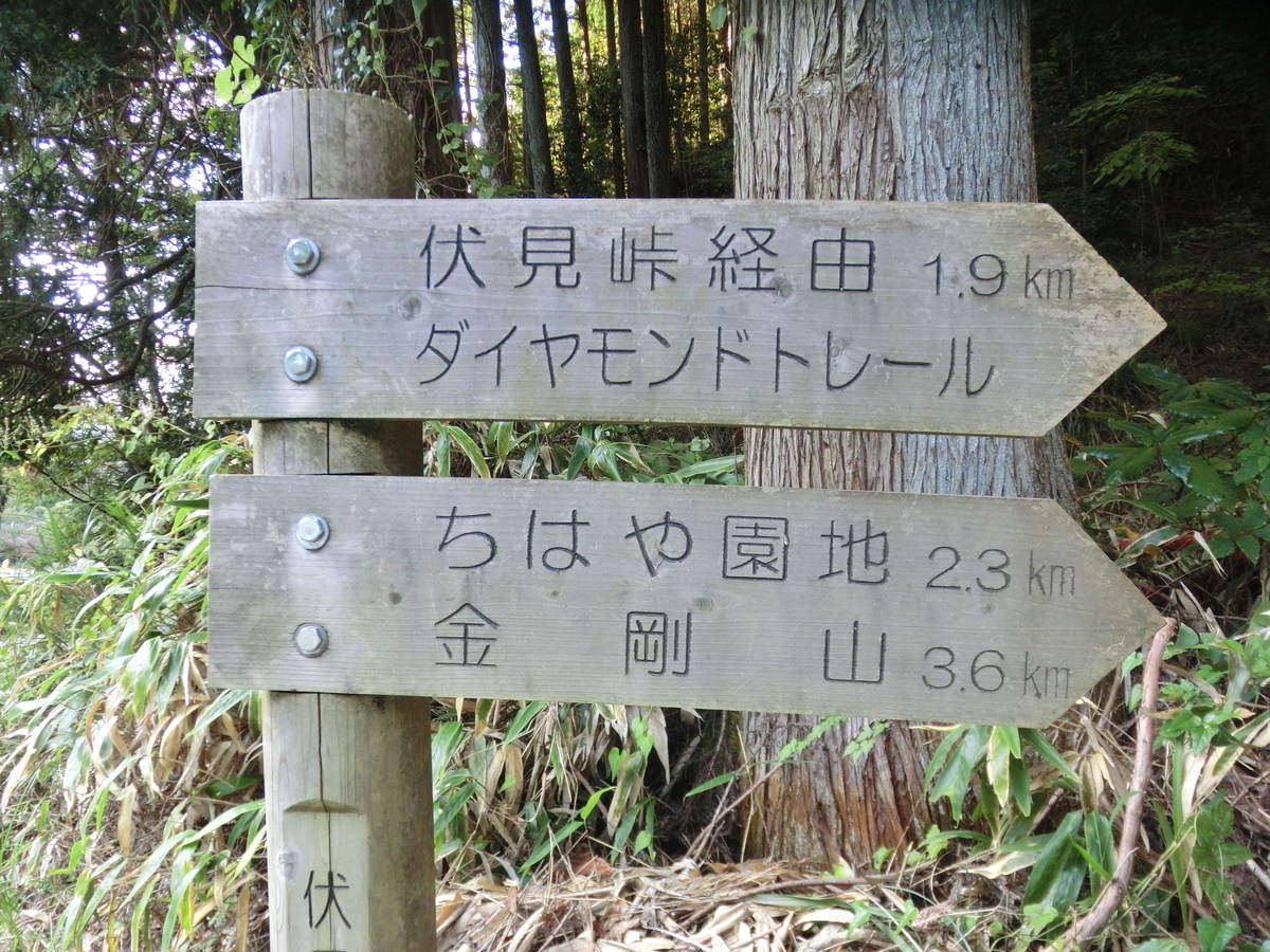 f:id:hiroyoshiz:20211110143336j:plain