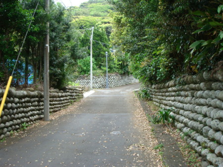 f:id:hiroyukim:20090504113637j:image