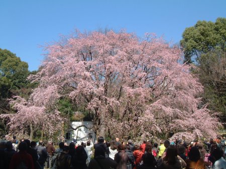 f:id:hiroyukmurata:20170220235230j:plain f:id:hiroyukmurata:20170220235230j:plain