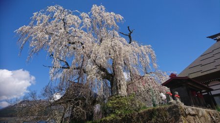 f:id:hiroyukmurata:20170521215608j:plain f:id:hiroyukmurata:20170521215608j:plain
