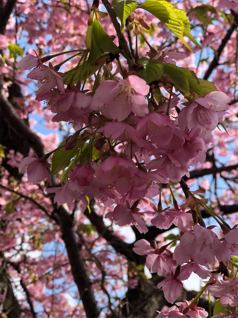 f:id:hiroyuta32:20220314182505j:image