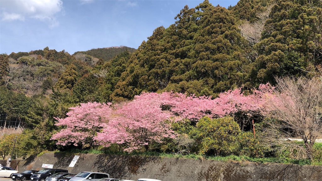 f:id:hiroyuta32:20220314182514j:image