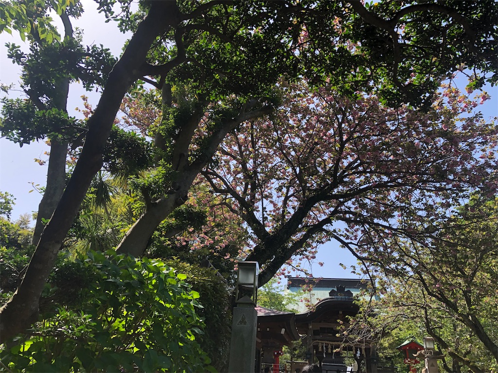 f:id:hiroyuta32:20220426111011j:image